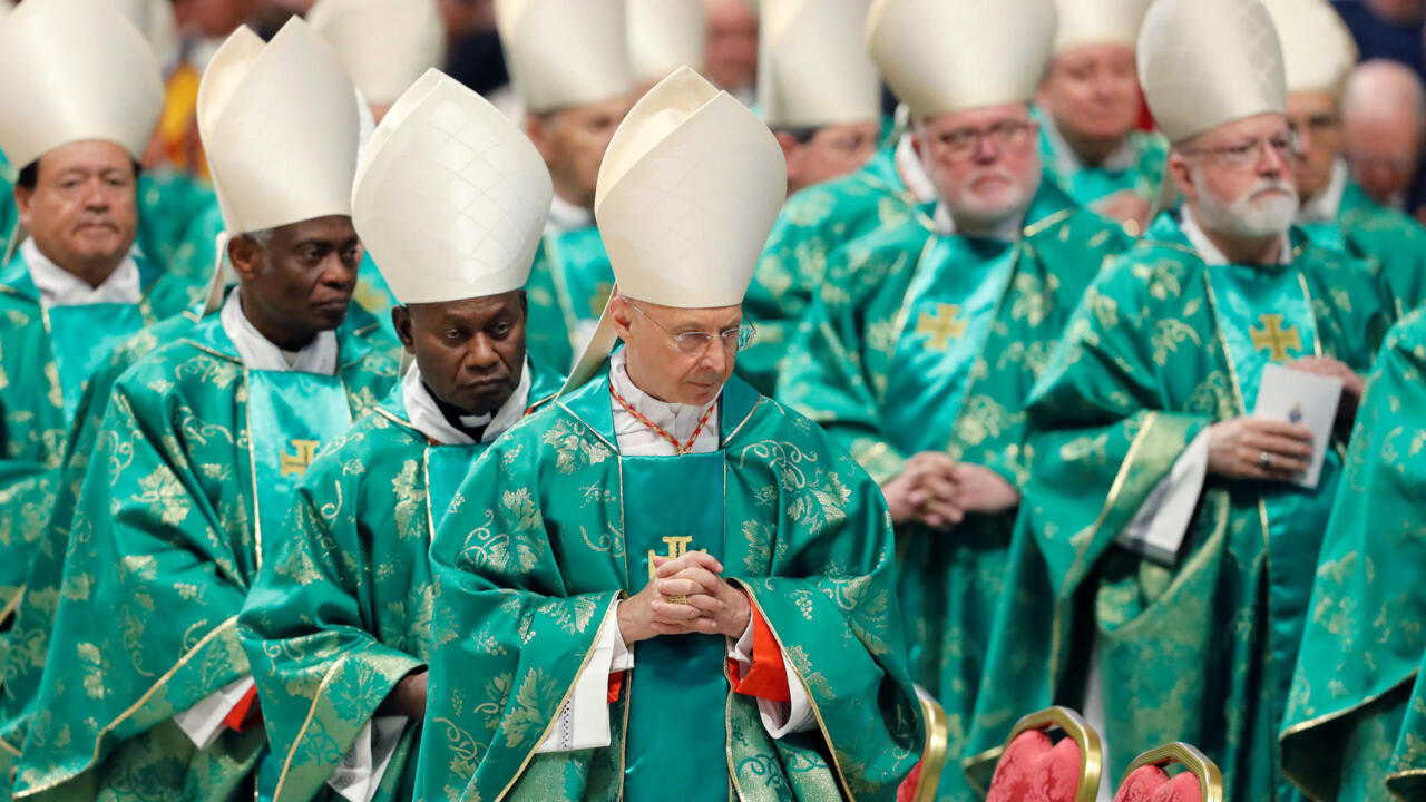 Obispos piden ordenar como sacerdotes a hombres casados para el Amazonas
