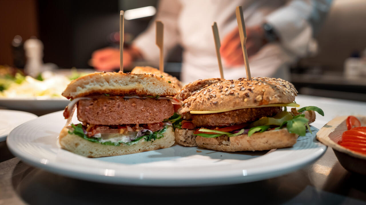 EU votes to ban 'burger' labels from veggie substitutes, critics slam 'hot dog populism'
