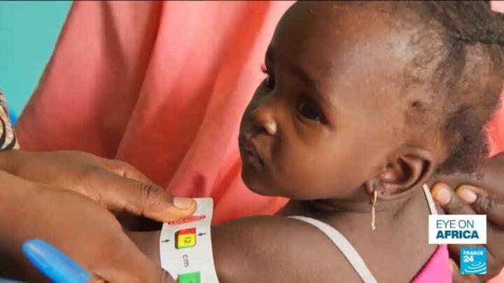 Nigeria: World Food Programme suspends aid over funding shortage