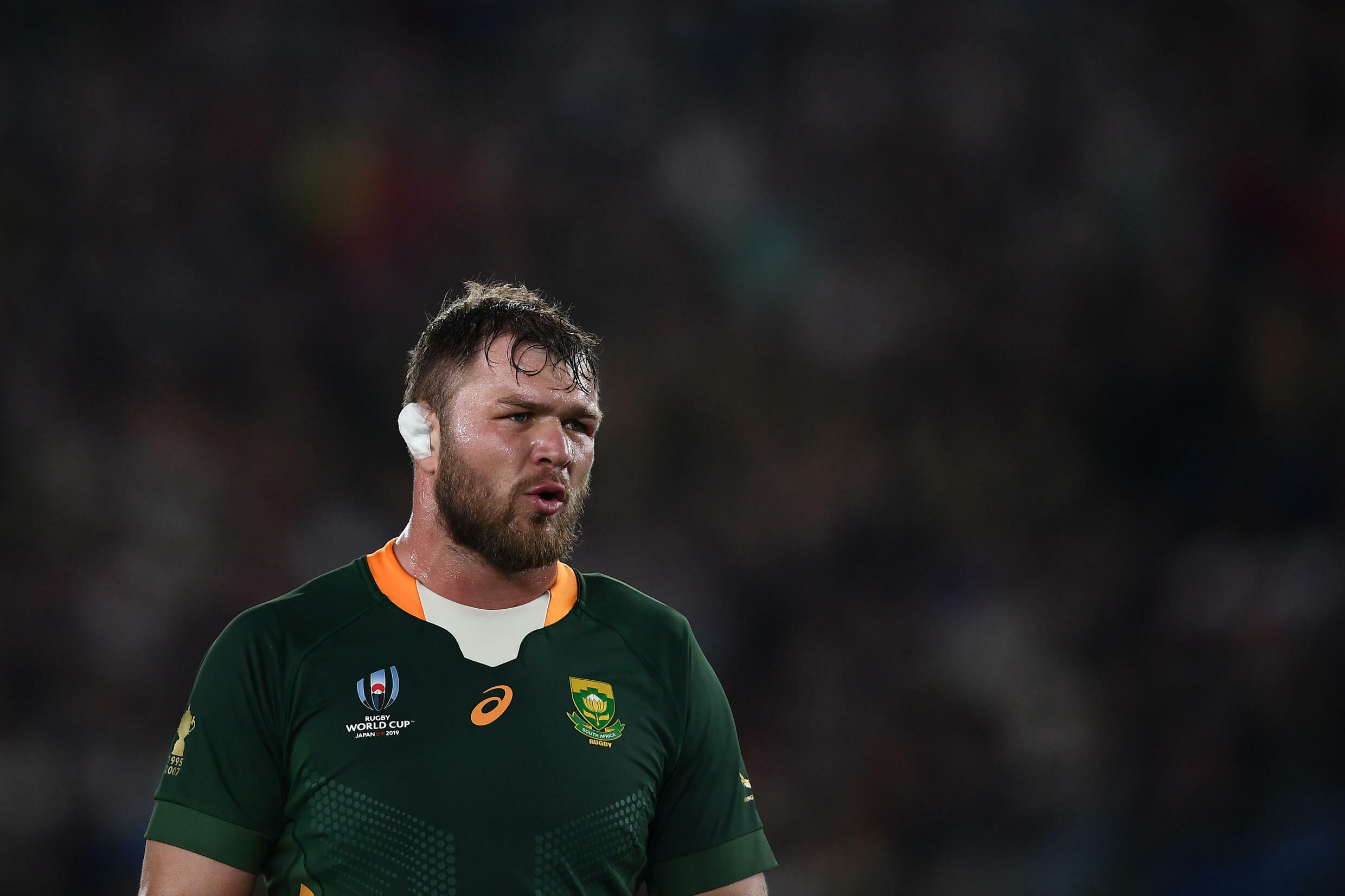 Great Duane Back As Unloved World Champion Springboks Go To Australia France 24