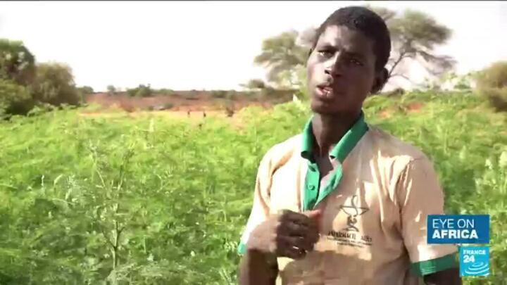 Digital farm in Niger: An advanced system to adjust farmer's water usage