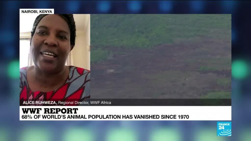 Claire Pryde France 24