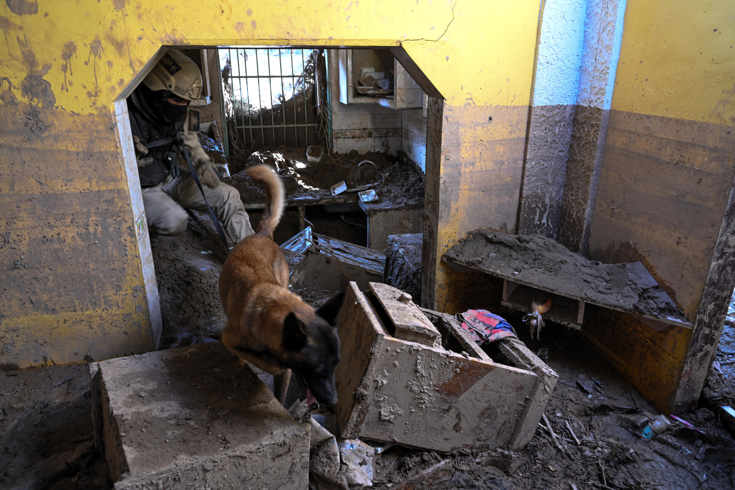 Un perro pastor belga "K9" del Servicio Nacional de Medicina y Ciencias Forenses busca víctimas entre los escombros de una casa destruida, días después de un alud que devastó la ciudad de Las Tejerias, Venezuela, el 12 de octubre de 2022