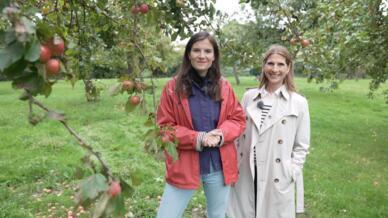 CONNEXIONS FRANÇAISES