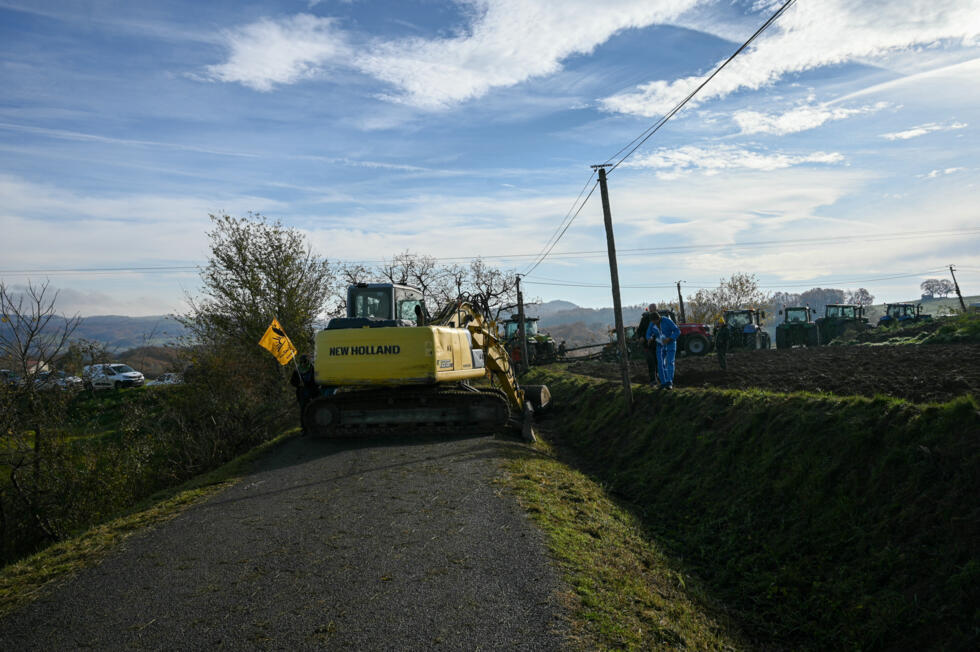 Un agriculteur, à l'aide d'un tracteur, bloque la route avec des troncs d'arbres lors d'une manifestation pour empêcher l'abattage d'un troupeau de 200 vaches.