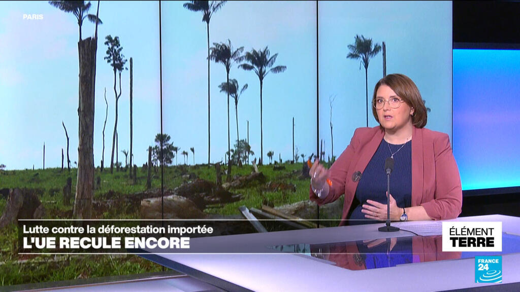 L'Union Européenne recule sur la lutte contre la déforestation importée