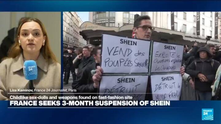 France seeks three-month suspension of Shein over sex dolls
