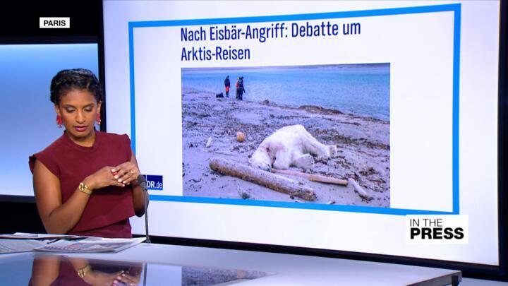 Outrage after cruise line employee shoots polar bear in the Arctic 