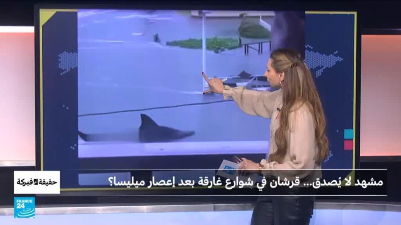 مشهد لا يُصدق... قرشان في شوارع غارقة بعد إعصار ميليسا؟