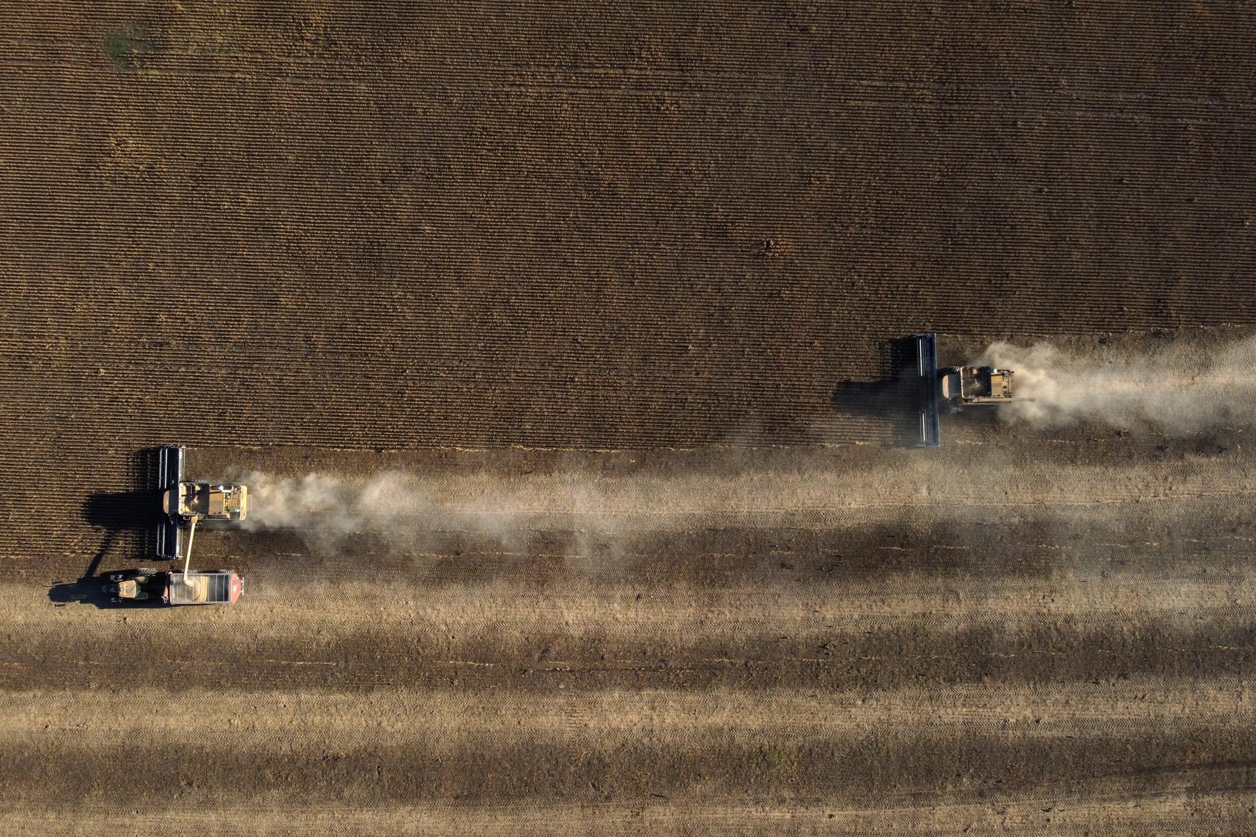 Cosechadoras en un campo de soja en Lobos, a unos 100 kilómetros al oeste de Buenos Aires, el 29 de abril de 2022.