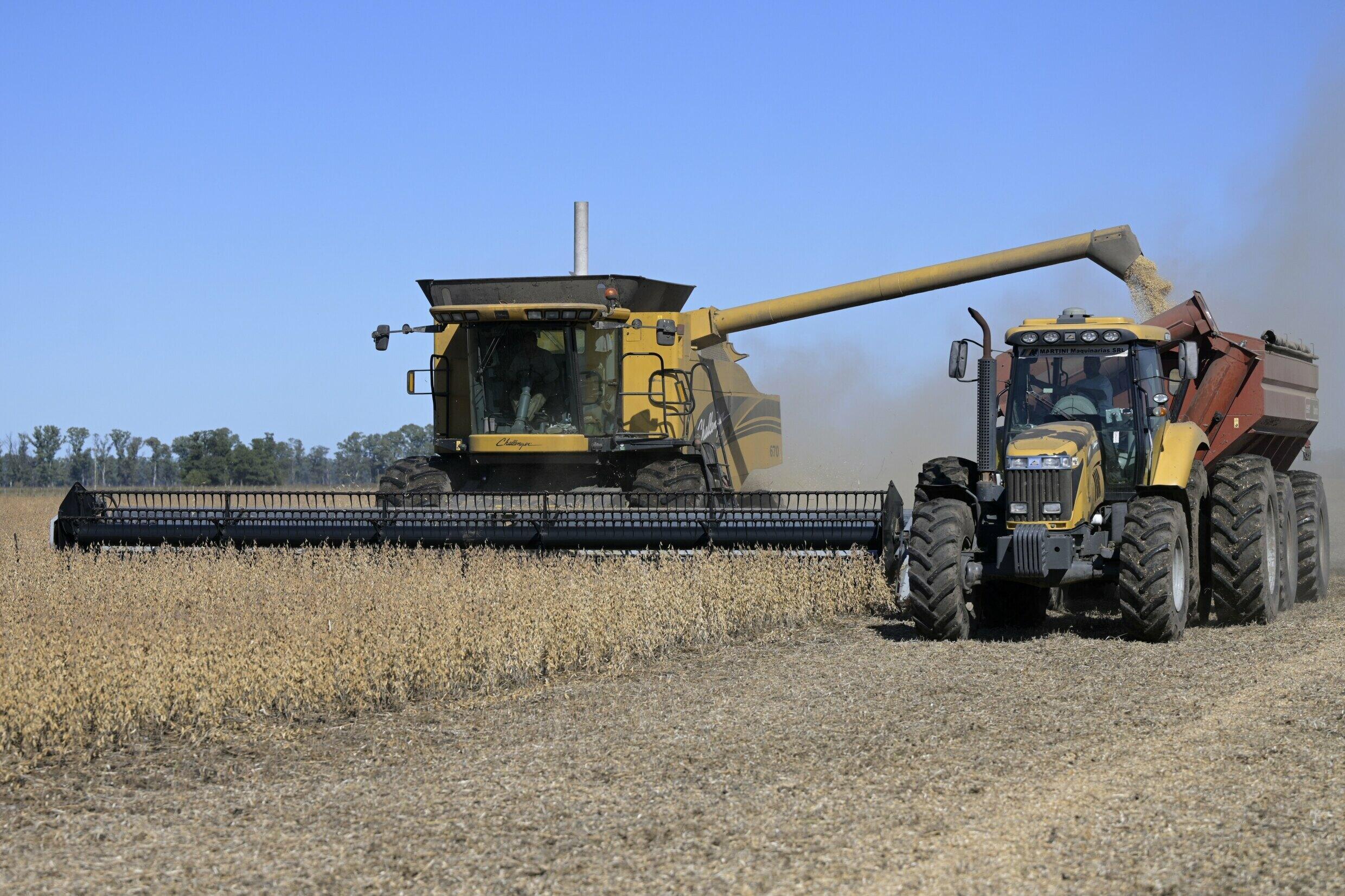 Un campo de soja en Lobos, a unos 100 kilómetros al oeste de Buenos Aires, el 29 de abril de 2022.