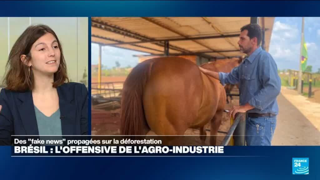 Brésil : les "fake news" de l'agro-industrie