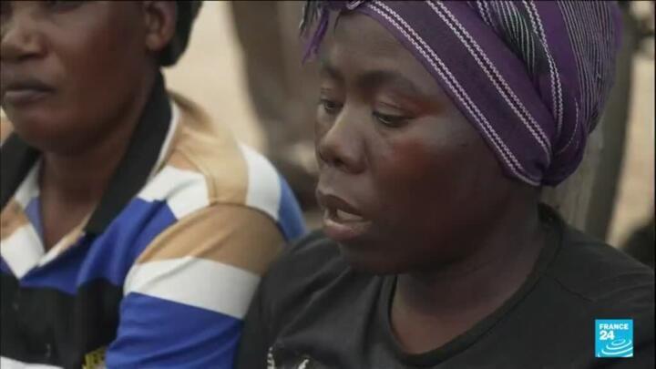 Zimbabwe reports rise in cases of human-elephant conflict