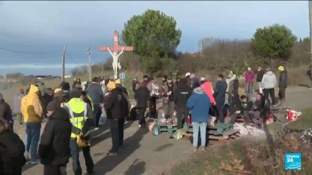 Dermatose en France : la gronde des agriculteurs