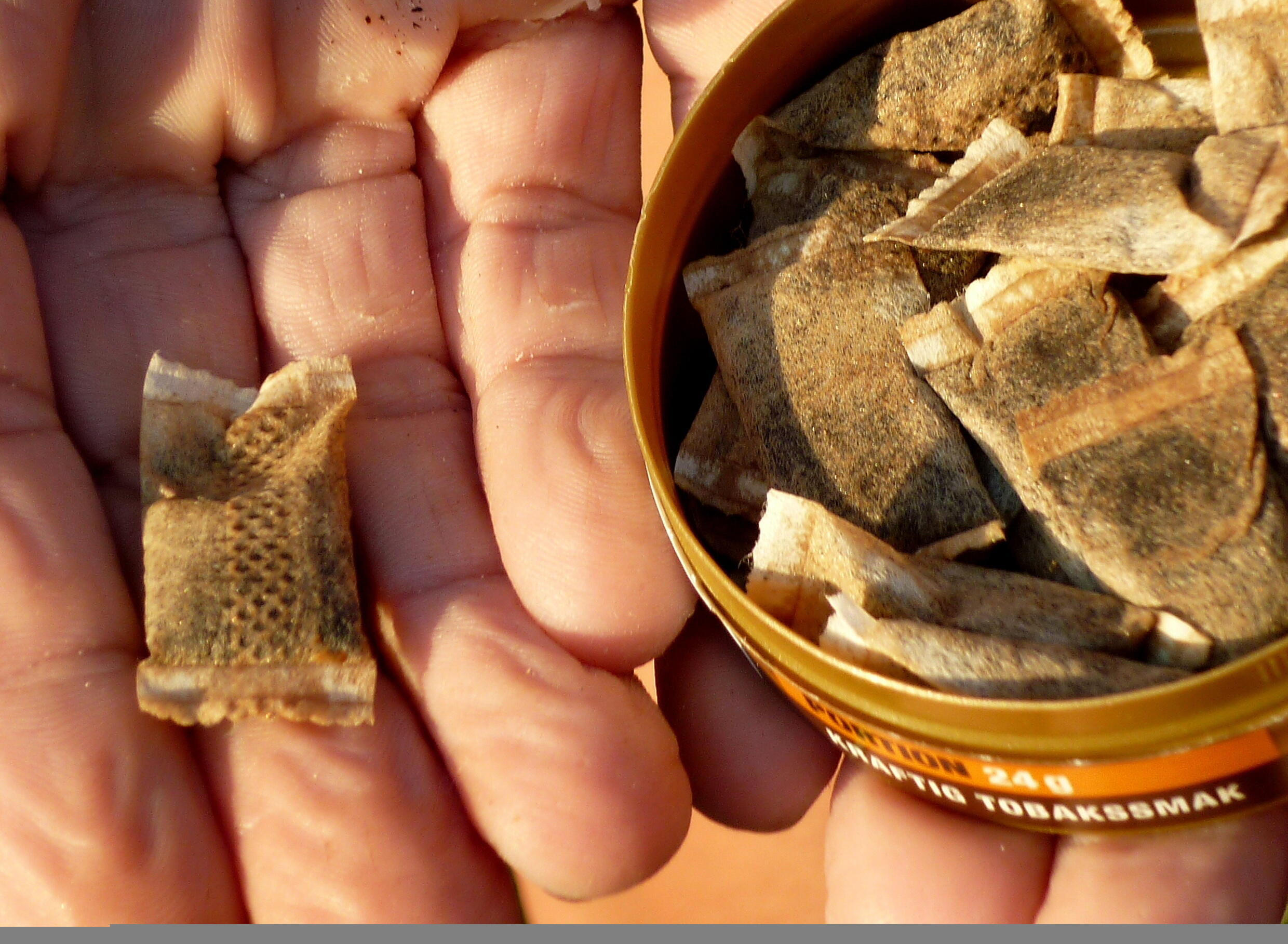 Snus, sachets de nicotine une mode à haut risque addictif chez les ados