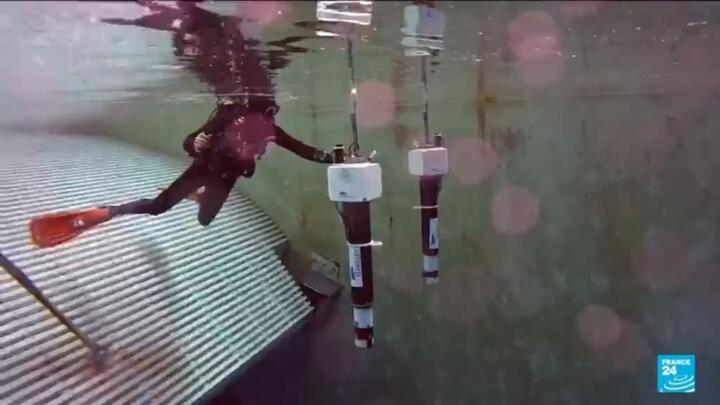 Exploring France’s cutting-edge ocean research ahead of the UN conference