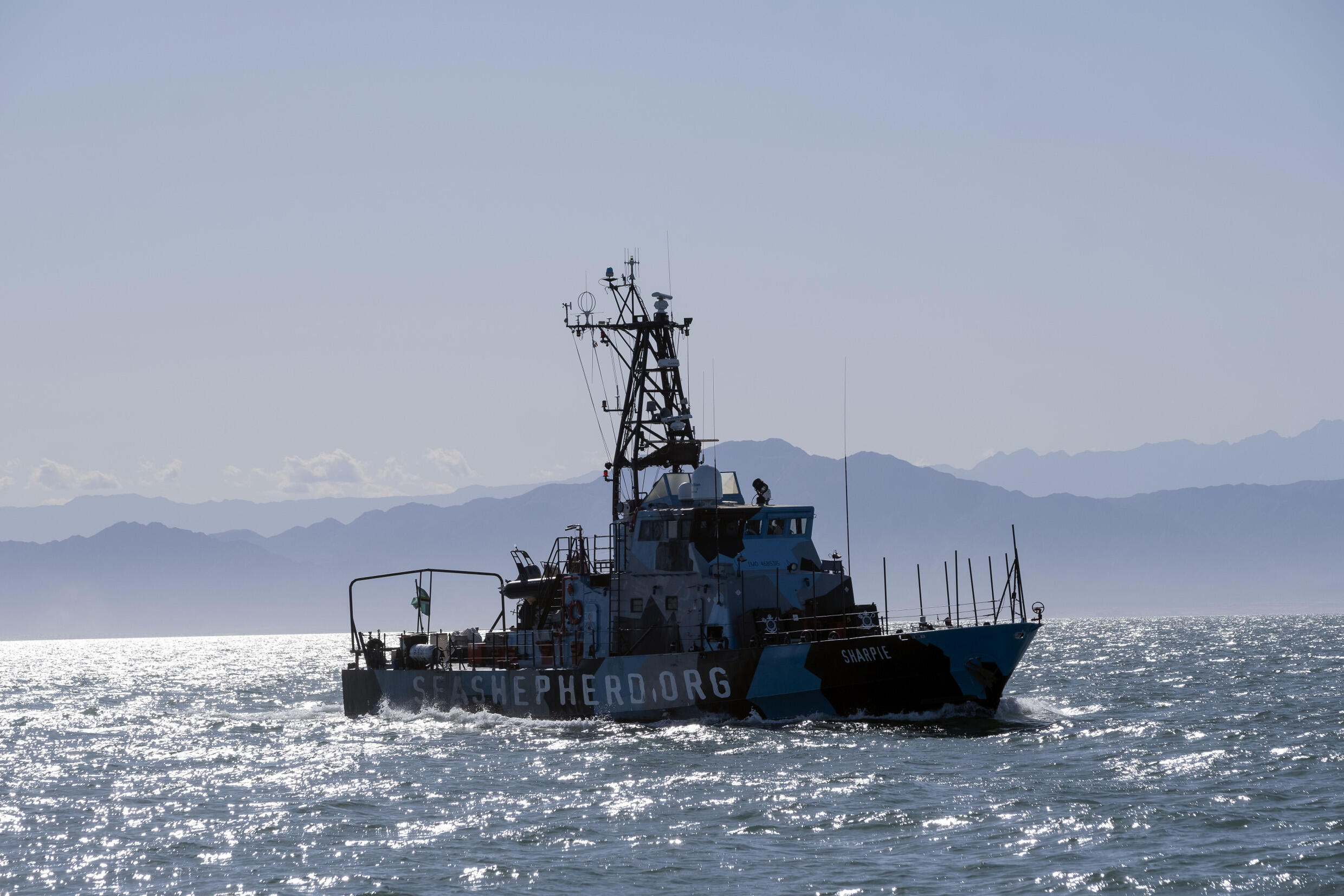 Sea Shepherd se une a la Armada de México para evitar que las lavanderas queden atrapadas en redes de enmalle ilegales