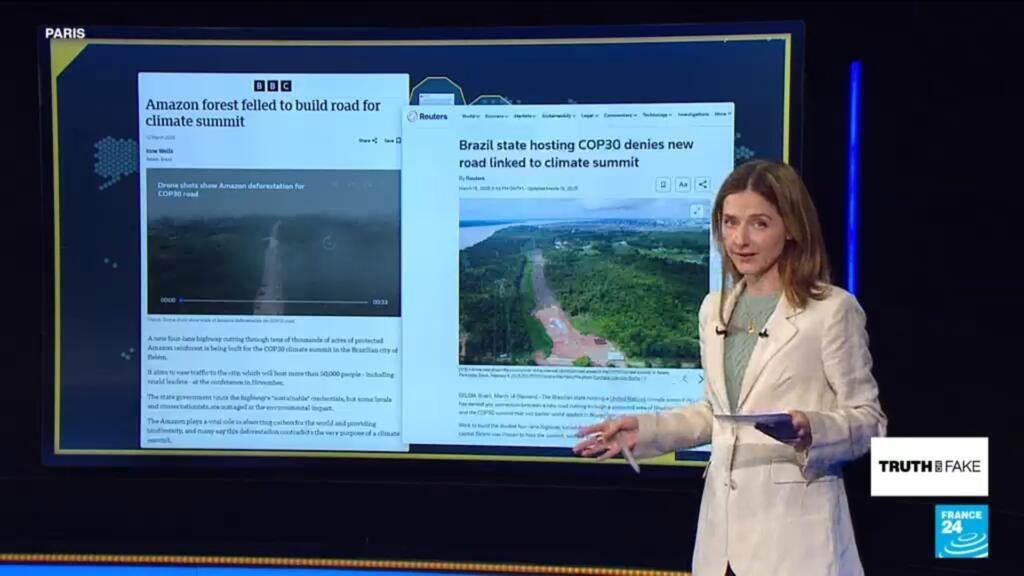 لا، لم يتم قطع الأشجار في غابات الأمازون المطيرة خلال الدورة الثلاثين لمؤتمر الأطراف