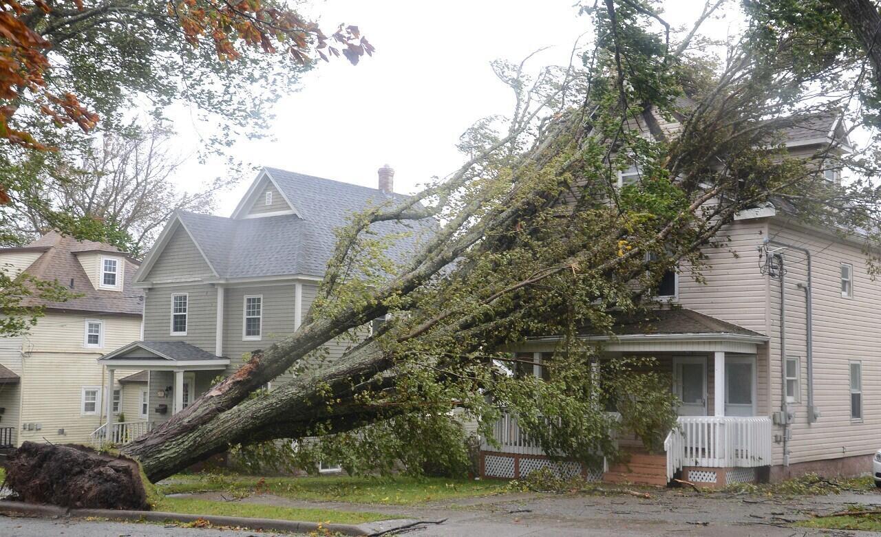 Una casa de Sydney, Nueva Escocia, sufre daños tras la caída de un árbol causada por el paso del huracán Fiona convertido en ciclón post-tropical al tocar tierra en Canadá, 24 de septiembre de 2022