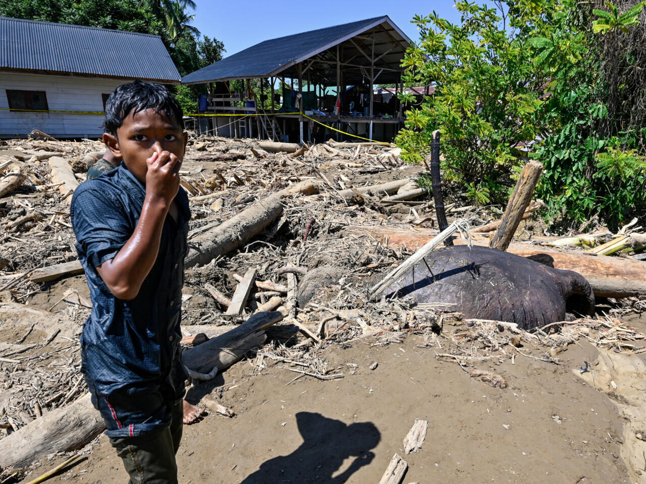 Sri Lanka, Indonesia deploy military as regional floods leave more than 1,100 dead - France 24