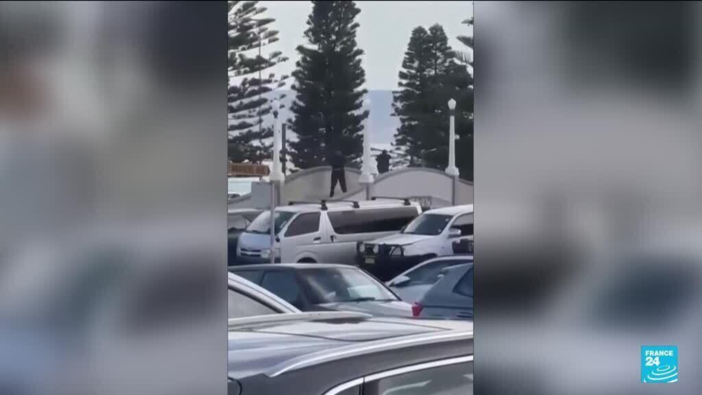 "Un véritable héros" : un passant s'attaque au tireur présumé lors de la fusillade à Bondi Beach