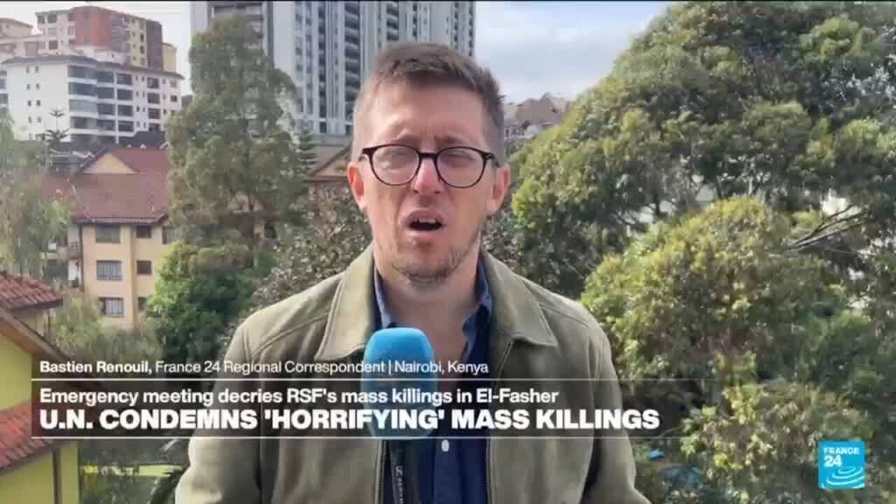 Humanitarian crisis deepens in Sudan after RSF take over el-Fasher Humanitarian crisis deepens in Sudan after RSF take over el-Fasher