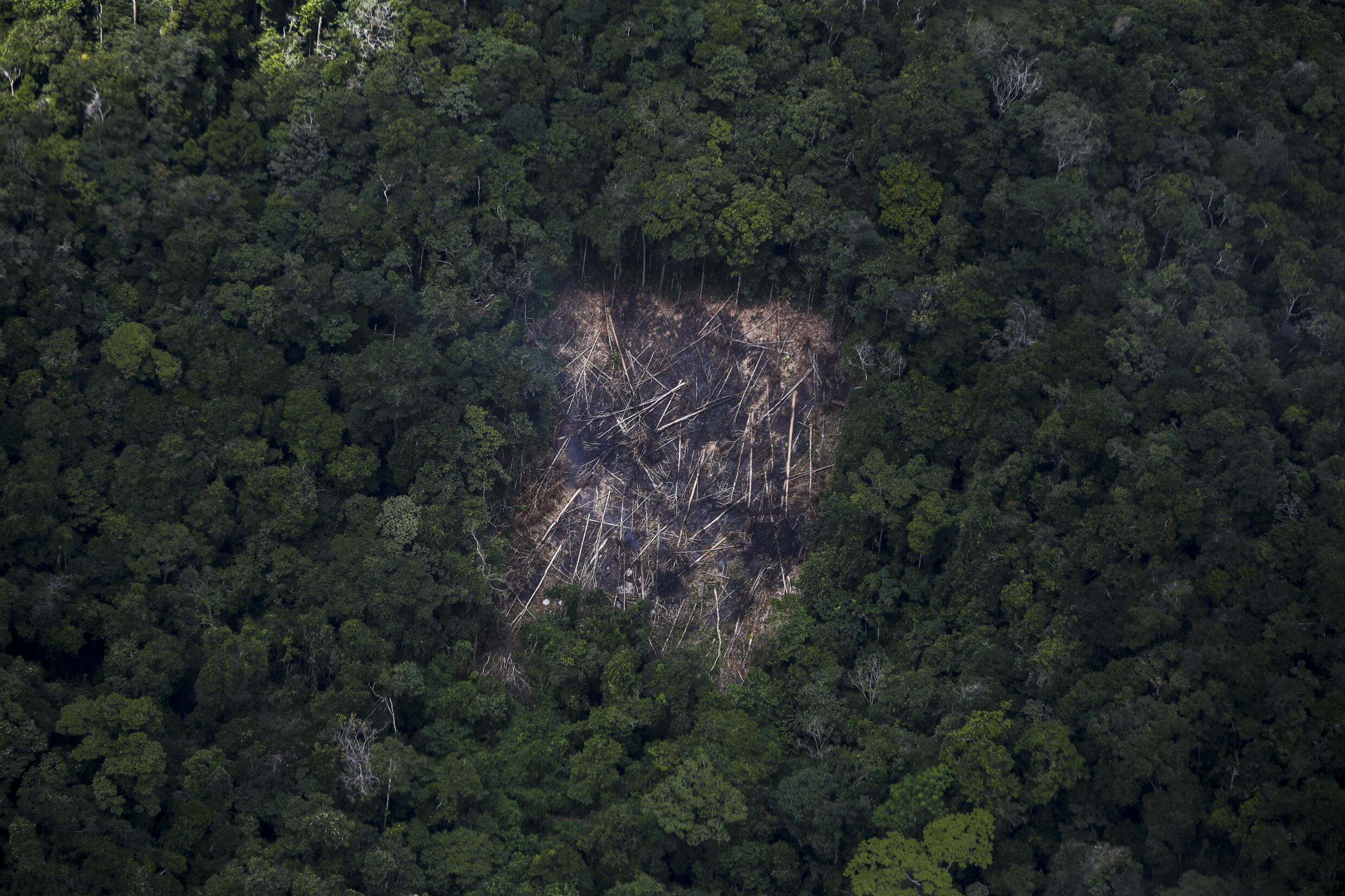 Vista aérea de una zona deforestada de la Amazonia brasileña, en Roraima, Brasil, el 2 de febrero de 2023