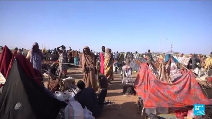 Sudan's RSF captures El-Fasher, sparking fears of mass killings