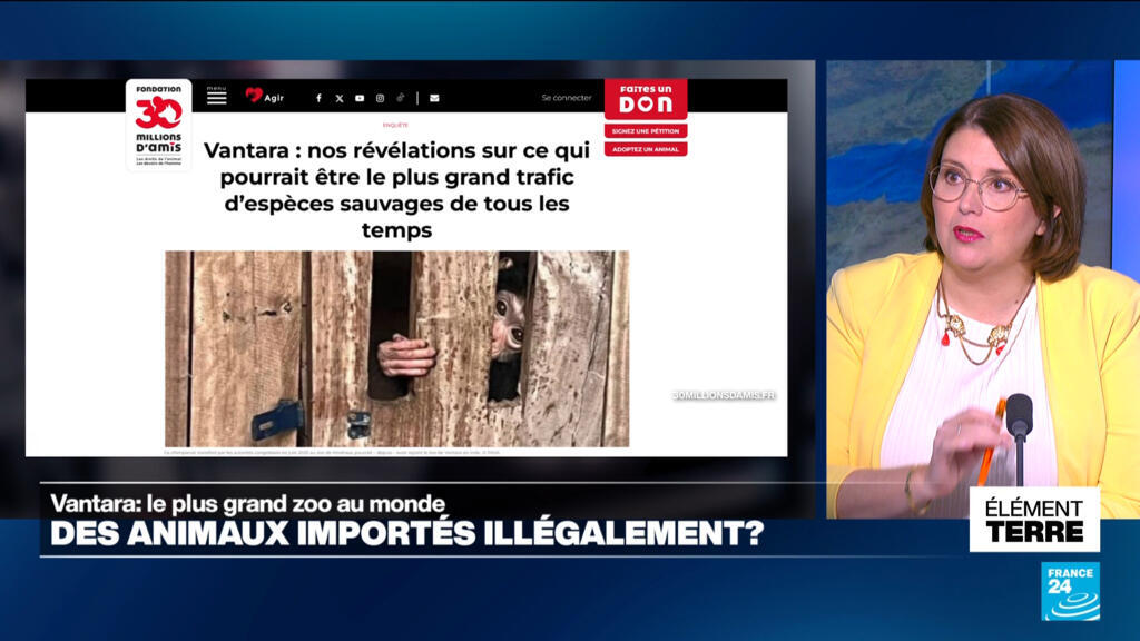 Le zoo Vantara en Inde accusé d'importer illégalement des espèces protégées