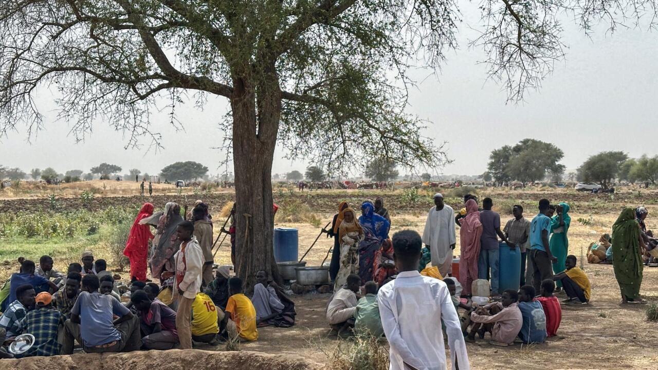 At least 15 killed in drone strike at Sudan market in RSF-besieged city of el-Fasher