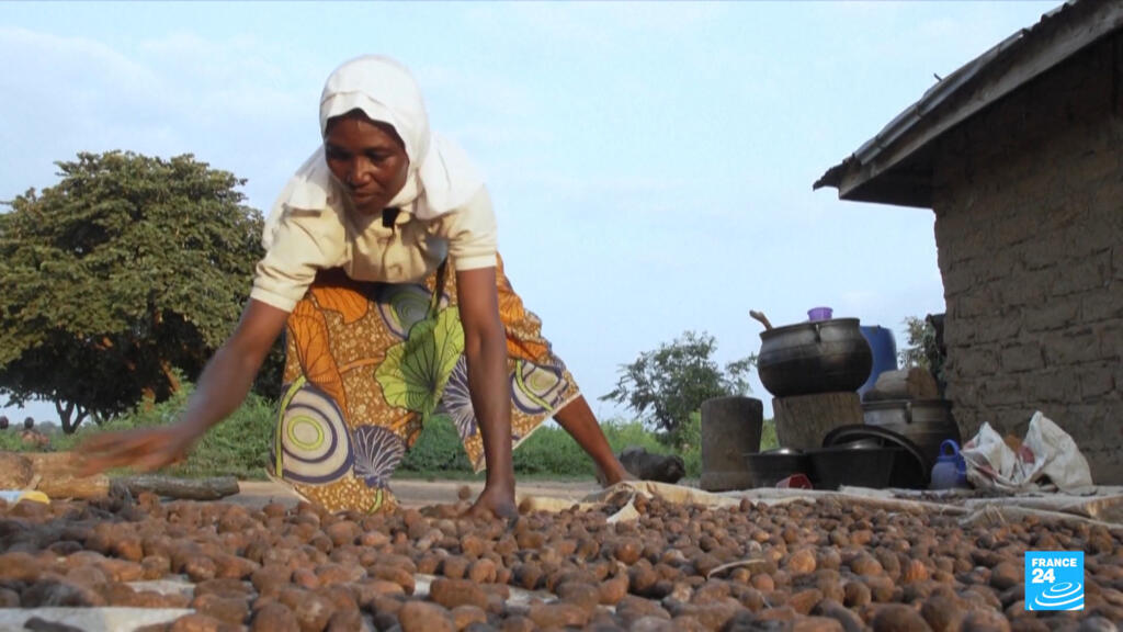 Across Africa: Nigerian nut ban slammed as shea madness