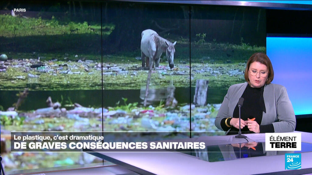 Le plastique nous vole des années de vie (étude)