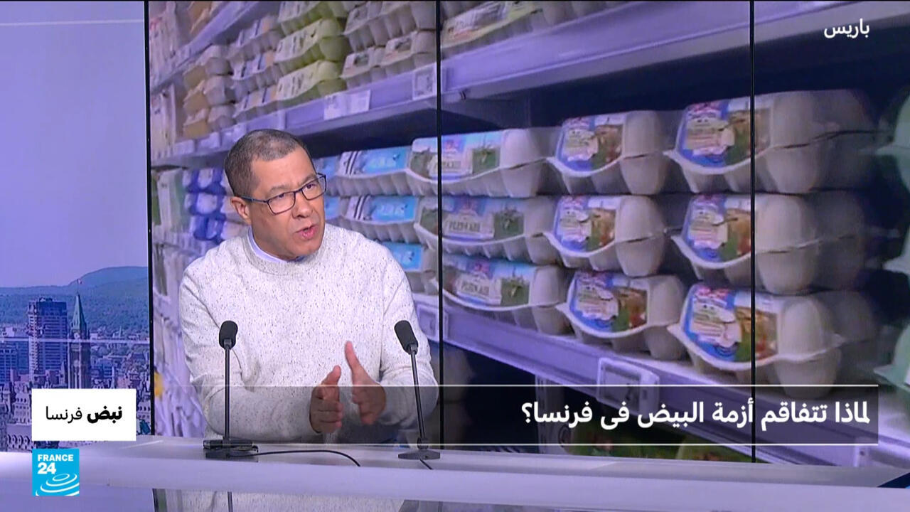 فرنسا: لماذا تتفاقم أزمة البيض؟