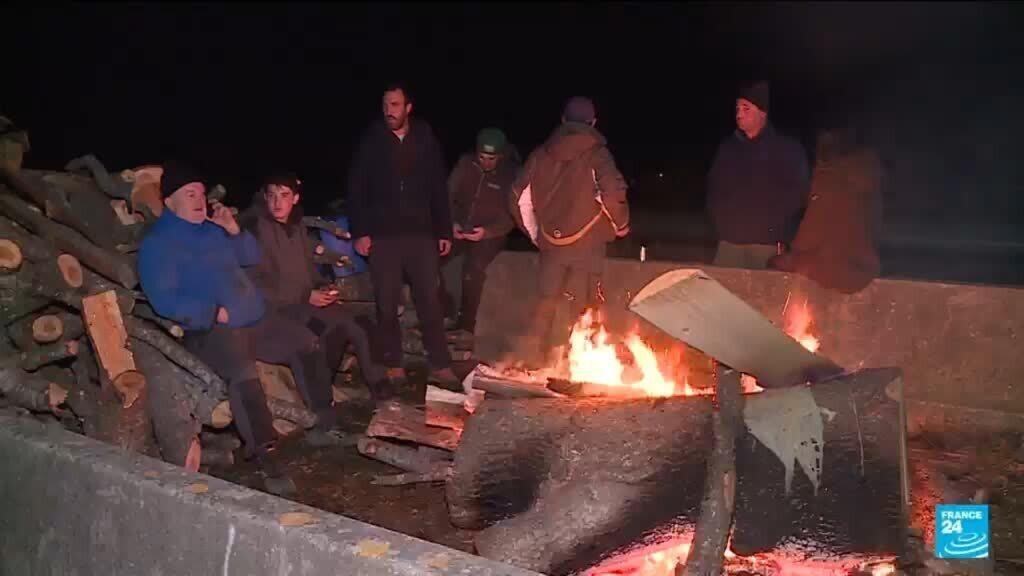 المزارعون الفرنسيون يحتجون على قيام الأطباء البيطريين بإعدام الأبقار المريضة