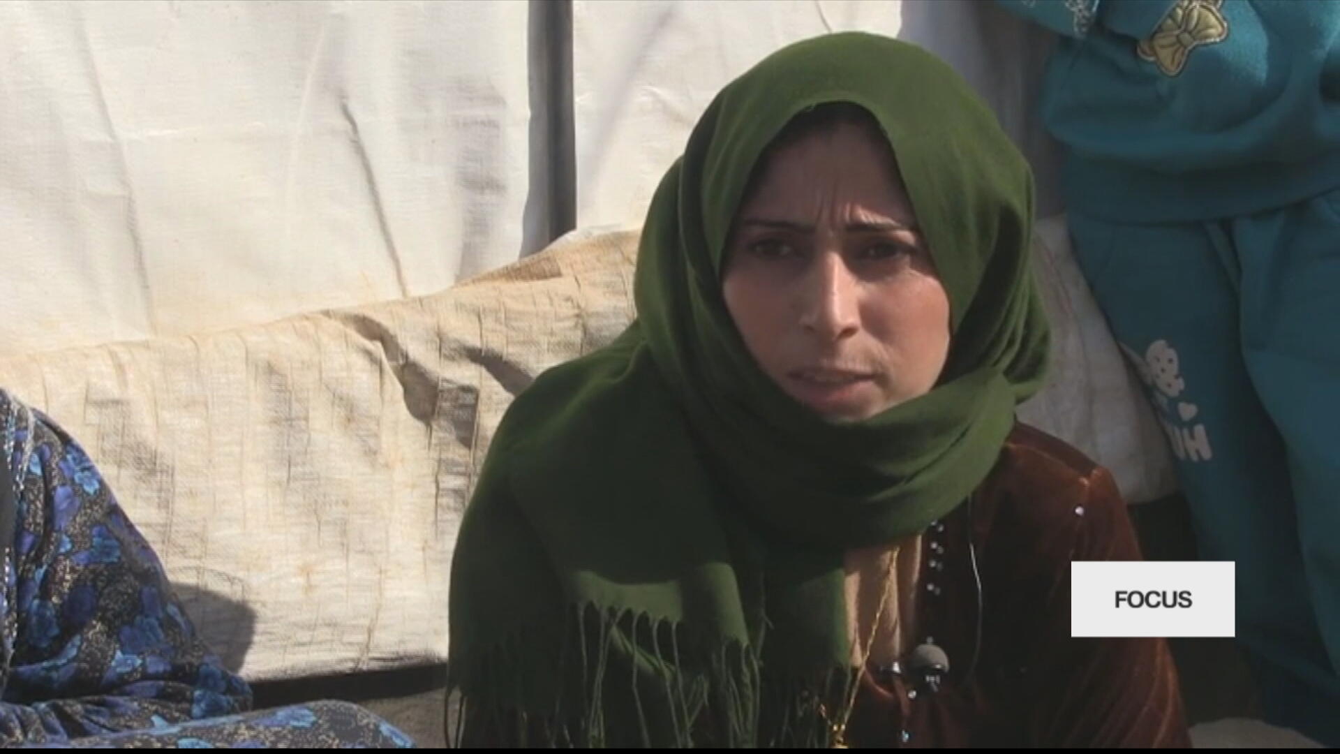 Can the 'Great Green Wall' stop desertification in China? Focus