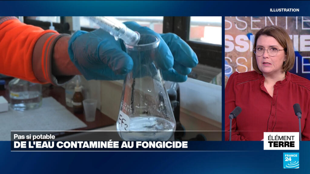 France: de l'eau contaminée au fluopyram, un fongicide et un PFAS