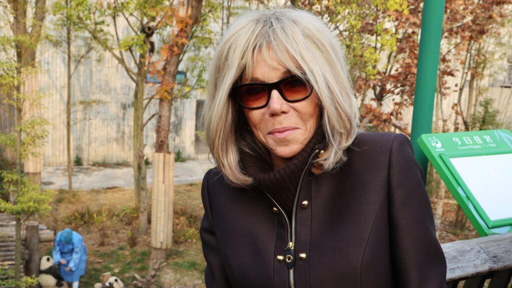 Cyberharcèlement de Brigitte Macron : dix condamnations, jusqu'à six mois de prison ferme