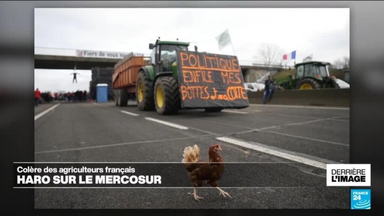 Colère des agriculteurs français : haro sur le Mercosur