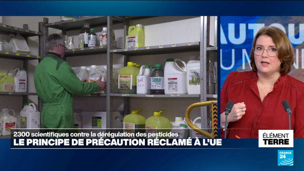 Projet européen de dérégulation des pesticides: 2300 scientifiques français appellent à la prudence