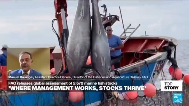 Climate change disrupting species’ habitats and altering both productivity and seasonality