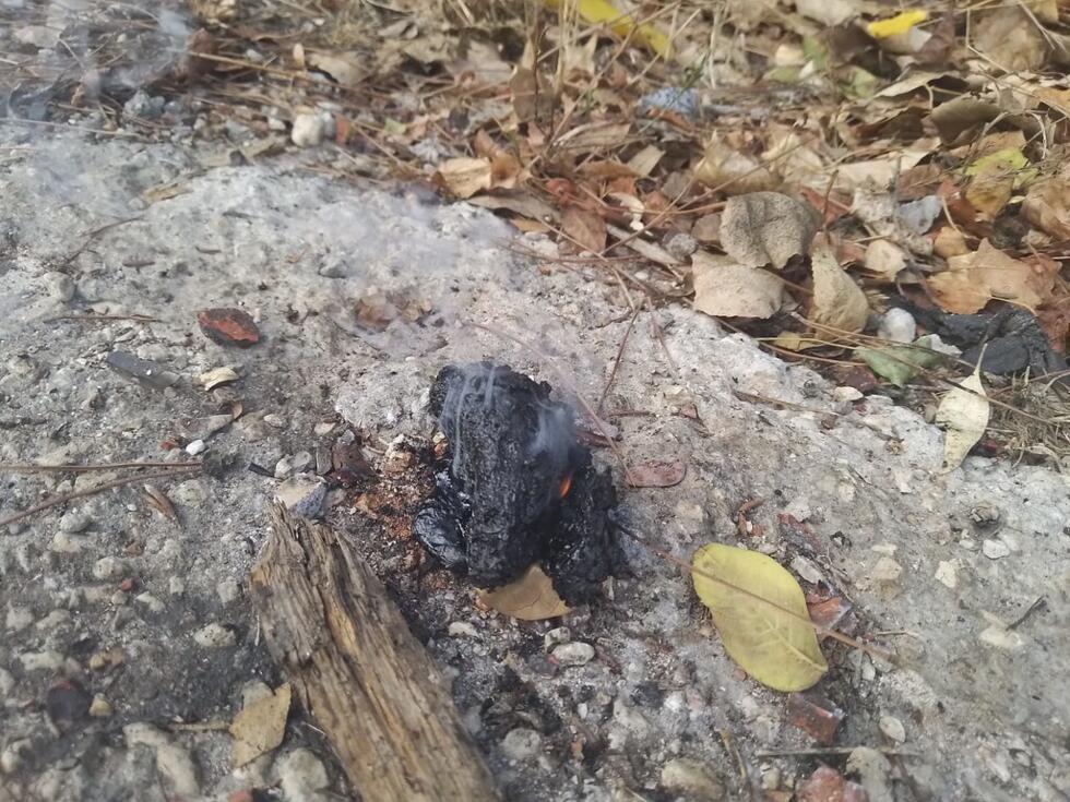 Vilten kussentje gedrenkt in witte fosfor gevonden door bewoners in de buurt van het dorp Rab El Thalatine op 15 september 2024. Geolocatie: 33.247278, 35.529111.