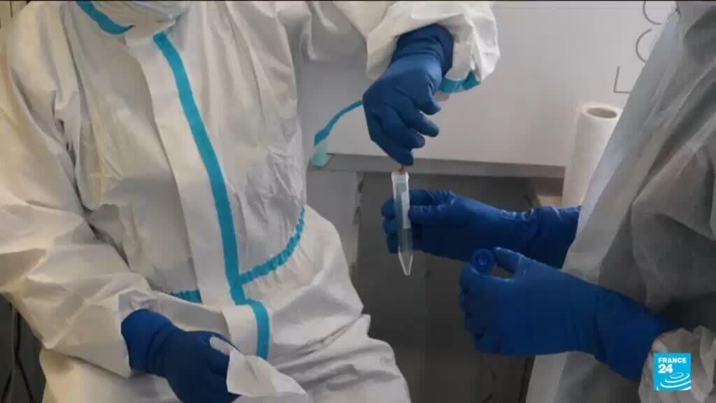 الأوكرانية المفقودة: يستخدم الباحثون الحمض النووي للتعرف على الجثث المستردة