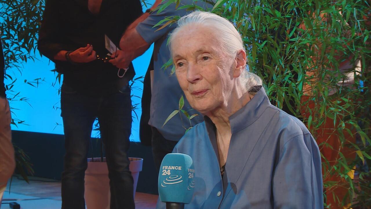 Jane Goodall, pioneering primatologist, conservationist and activist, dies at 91
