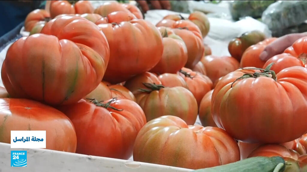 ماذا نأكل؟ هل المنتجات والزراعات العضوية هي الحل لصحة أفضل؟