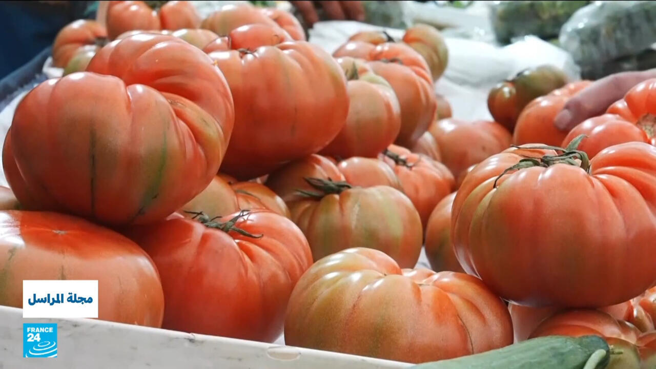 ماذا نأكل؟ هل المنتجات والزراعات العضوية هي الحل لصحة أفضل؟