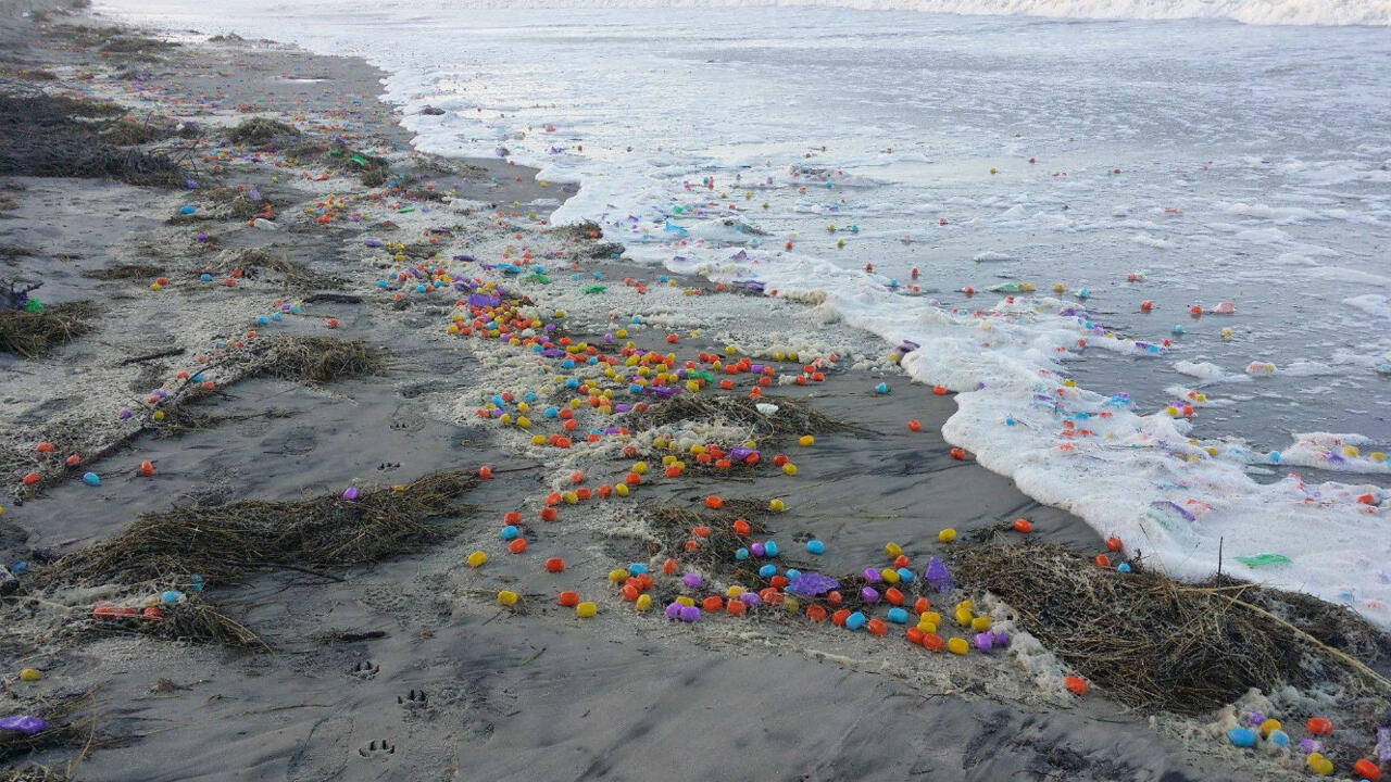 La Fusillade Sur Une Plage D Allemagne Des milliers de Kinder Surprise se sont échoués sur une plage en Allemagne