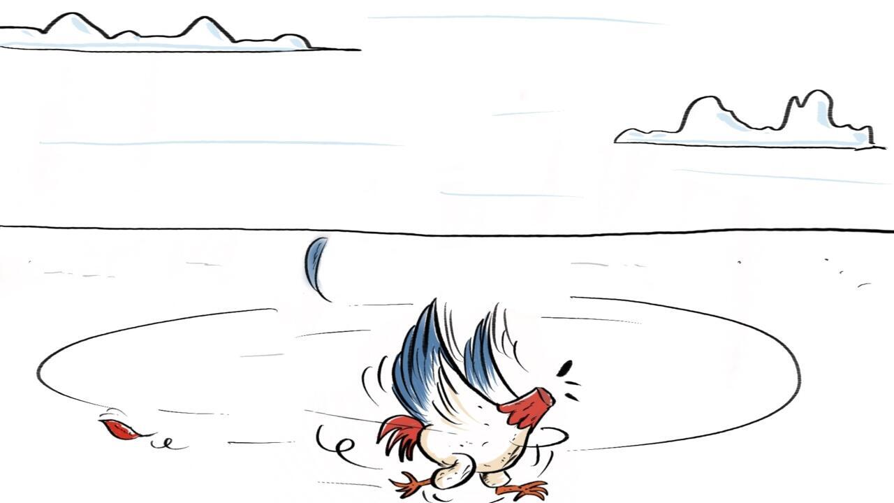 L'actu en dessin : la France comme un poulet sans tête