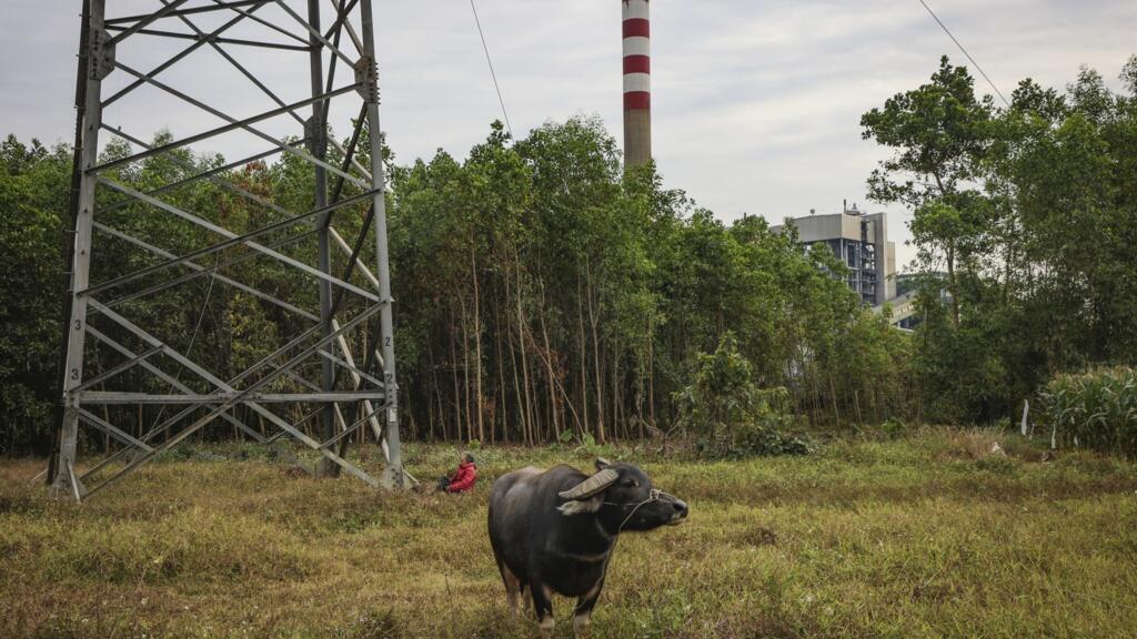 COP30 : haro sur le méthane, "levier primordial" contre le dérèglement climatique