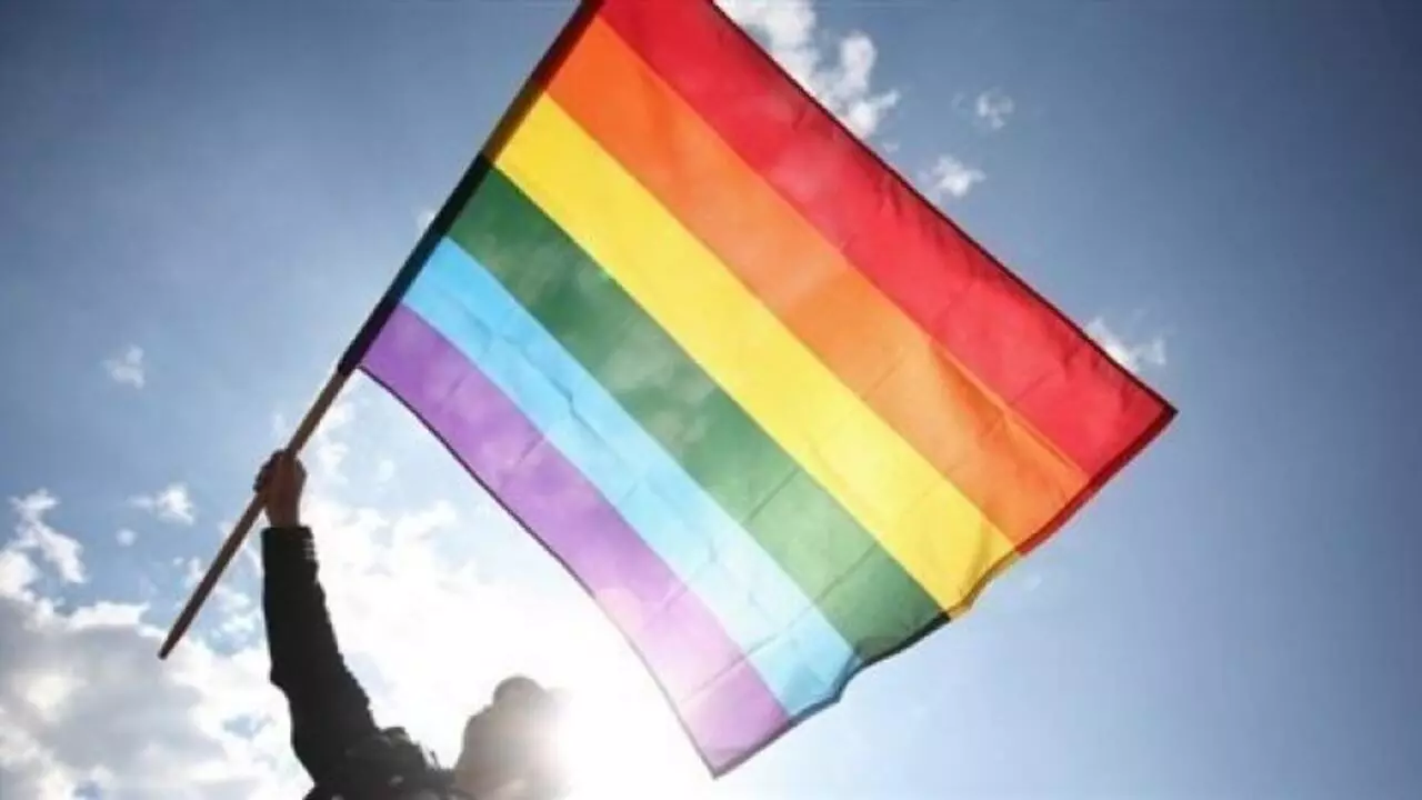 Violences Et Intimidations Du Danger De Defendre Les Homosexuels Au Cameroun Violences Et Intimidations Du Danger De Defendre Les Homosexuels Au Cameroun
