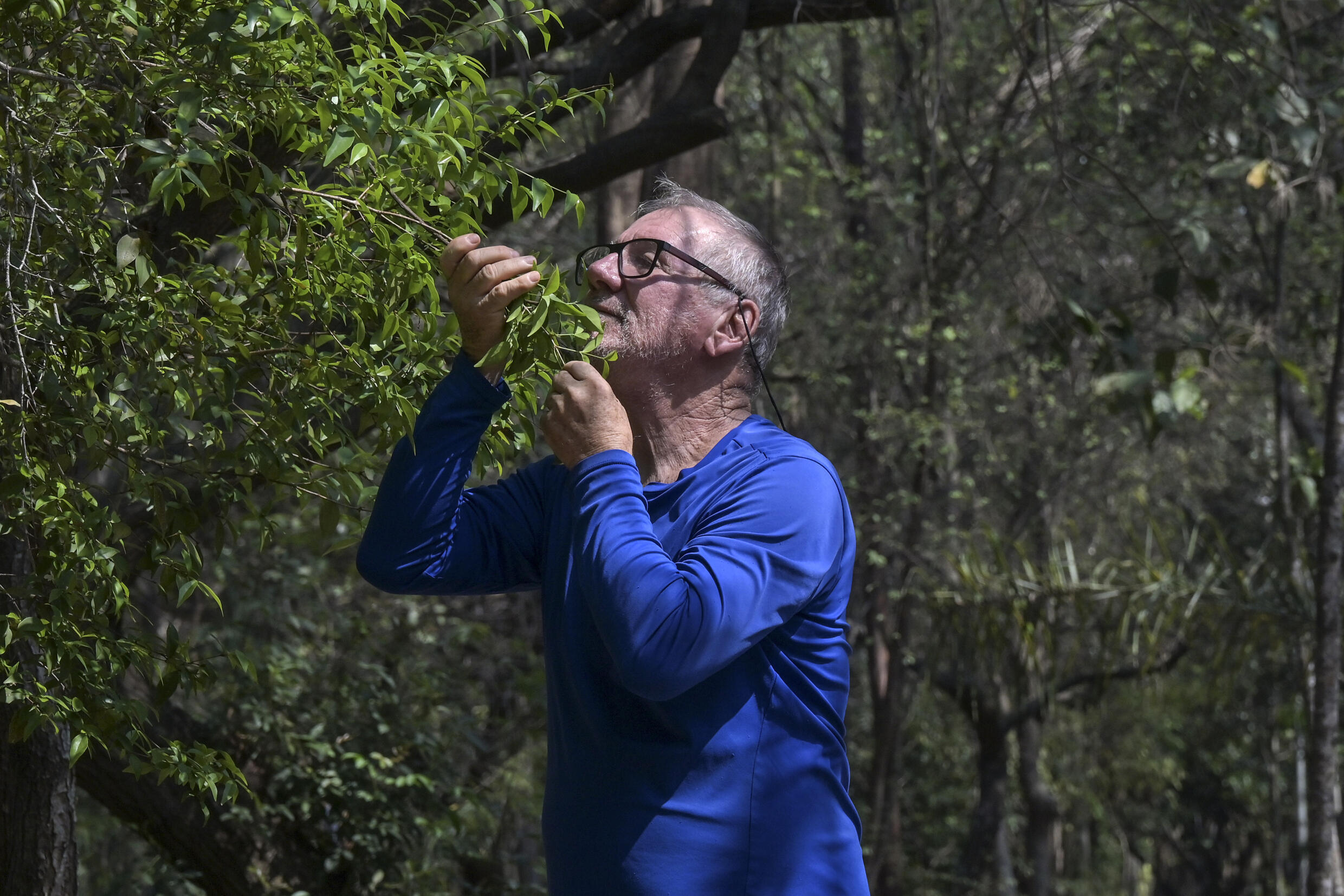 'Crazy' tree planter greening Sao Paulo concrete jungle